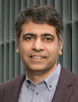 Prof. Ikhlaq Sidhu