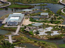 Hong Kong Wetland Park