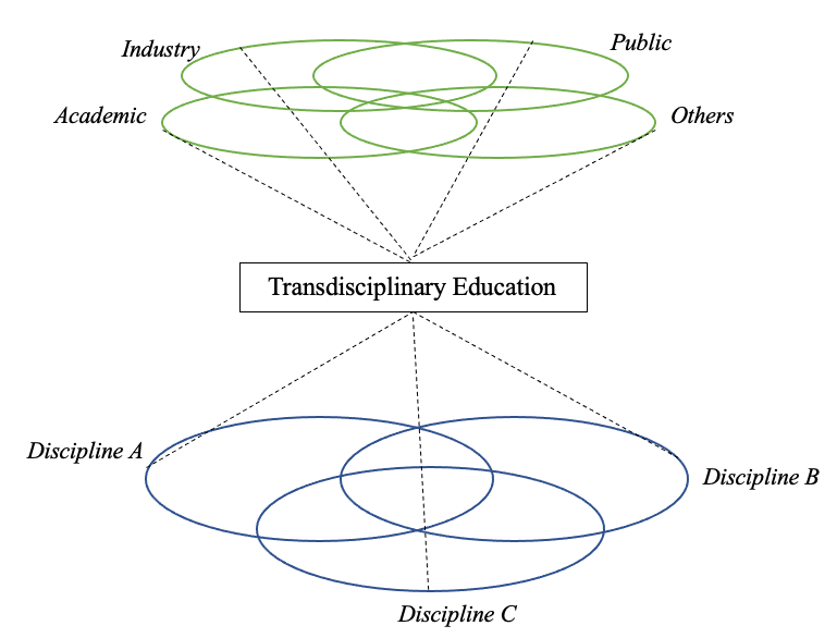 Diagram (3): TD education as a projection covering disciplines and sectors